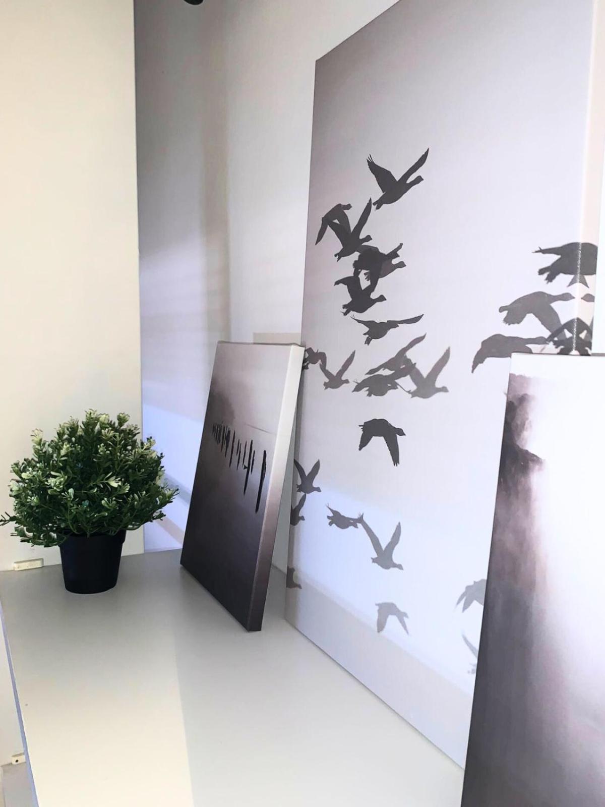 Bellaria Beach Apartments Zewnętrze zdjęcie